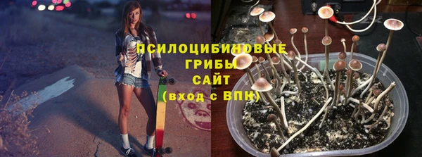 эйфоретик Алексин