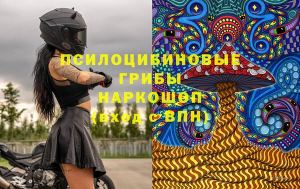 jwh Алзамай